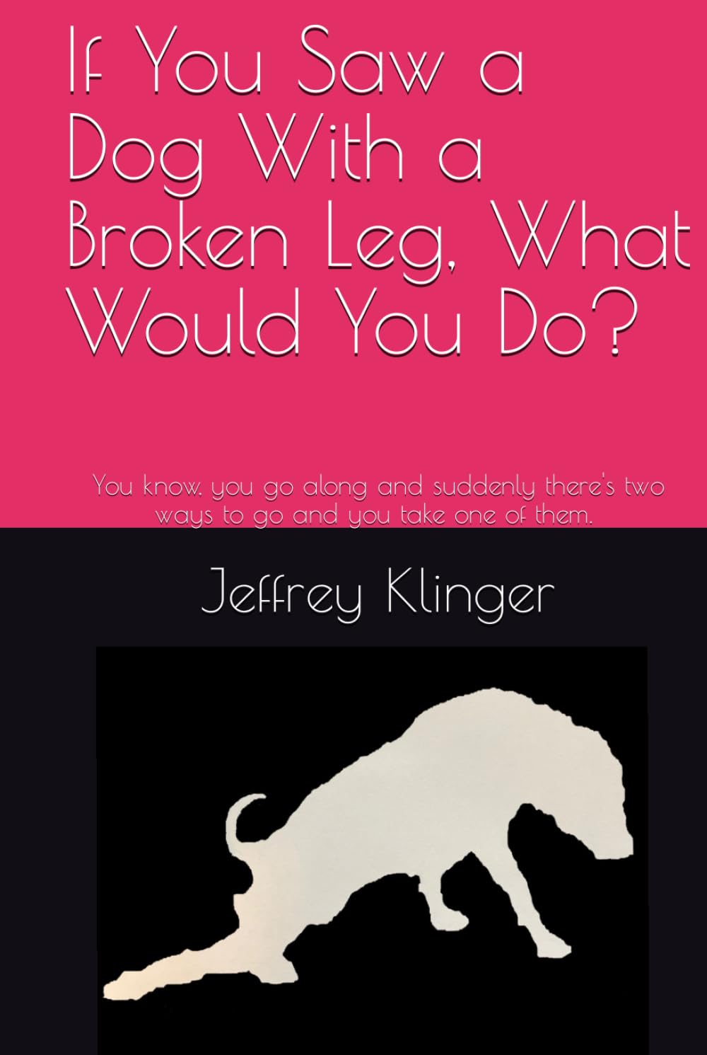 capítulo por capítulo baixar If You Saw a Dog With a Broken Leg, What Would You Do?