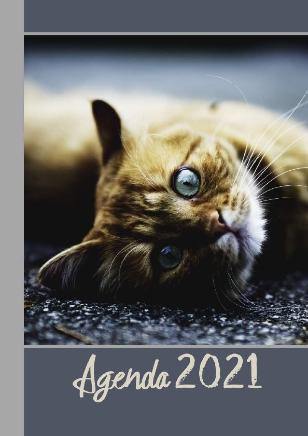 Agenda 2021: Agenda annuel format XL (A4 21 x 29,7cm) | Semainier de janvier à décembre pratique | De l'espace pour noter vos projets, vos missions, chat roux mignon tendresse (French Edition) baixar o livro de graça