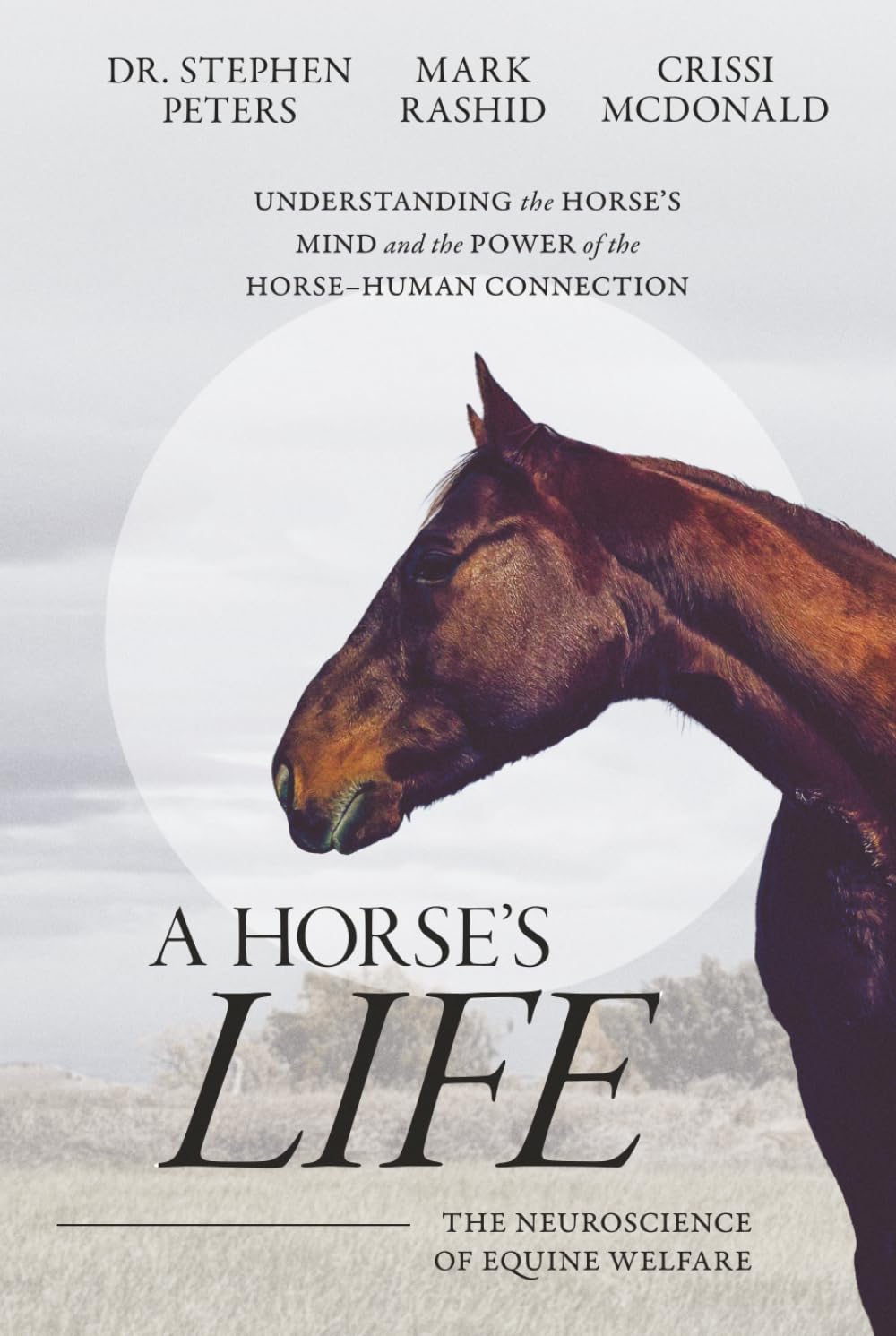 ler totalmente A Horse's Life: The Neuroscience of Equine Welfare