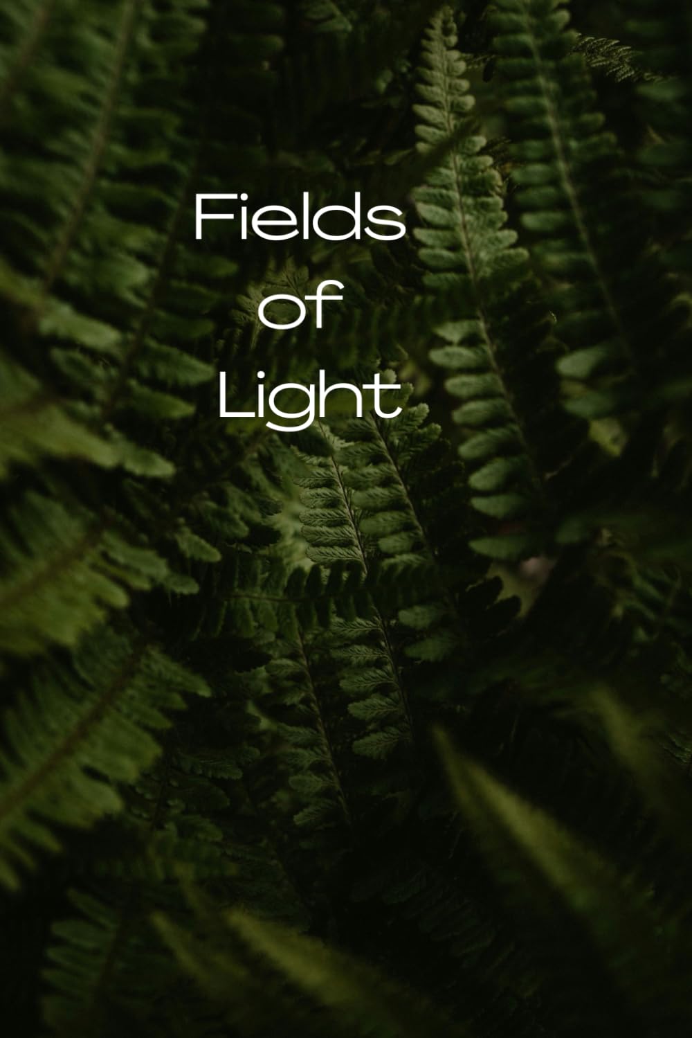 ler totalmente Fields of Light: A Journal for Gratitude, Mindfulness, and Everyday Inspiration