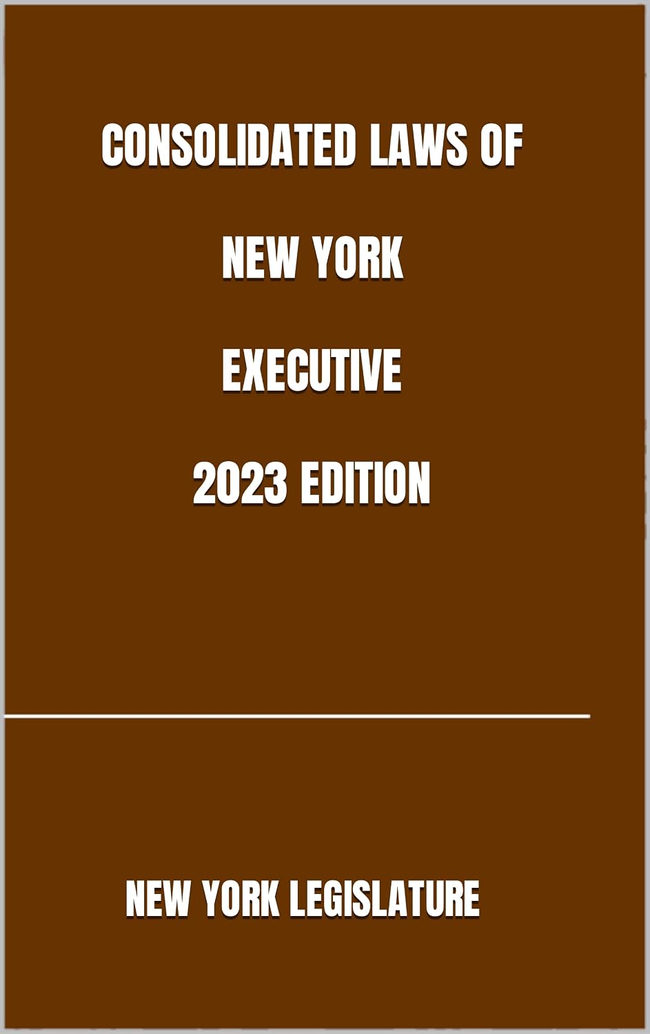 CONSOLIDATED LAWS OF NEW YORK EXECUTIVE 2023 EDITION (English Edition) baixar o livro de graça