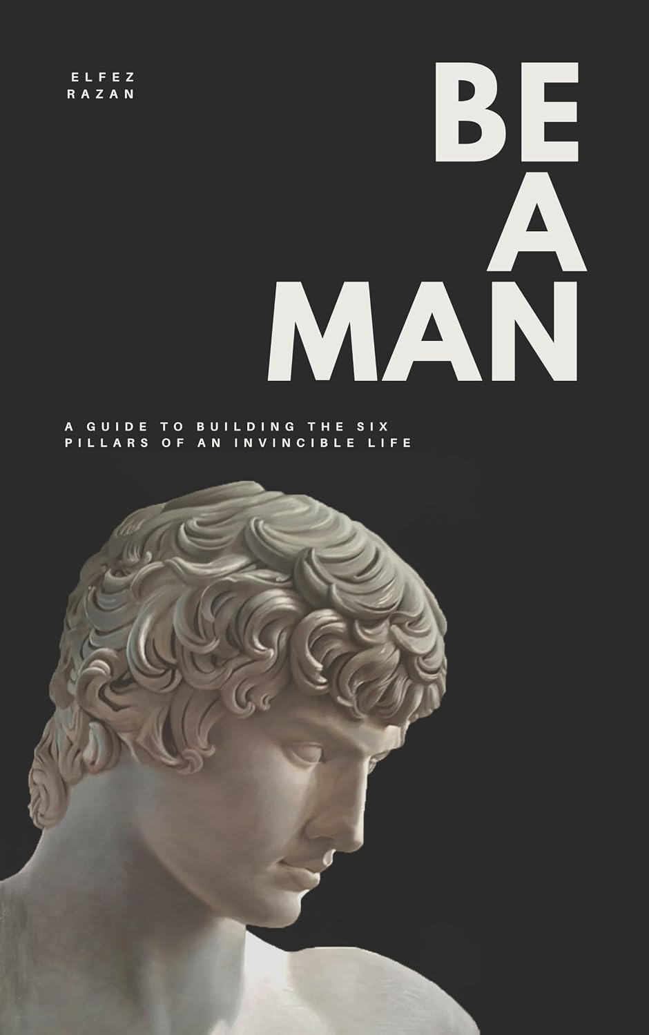 Be a Man: A Guide to Building the Six Pillars of an Invincible Life (English Edition) baixar o livro de graça