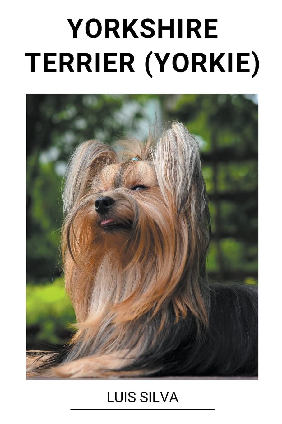 ler totalmente Yorkshire Terrier (Yorkie)