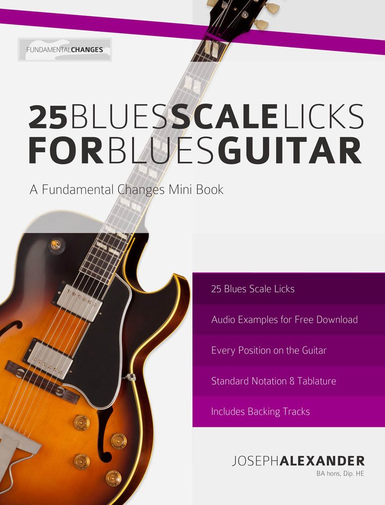 25 Blues Scale Licks for Blues Guitar (English Edition) baixar o livro de graça
