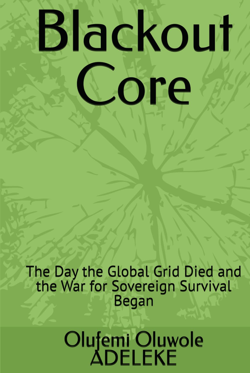 Blackout Core: The Day the Global Grid Died and the War for Sovereign Survival Began baixar livro de graça