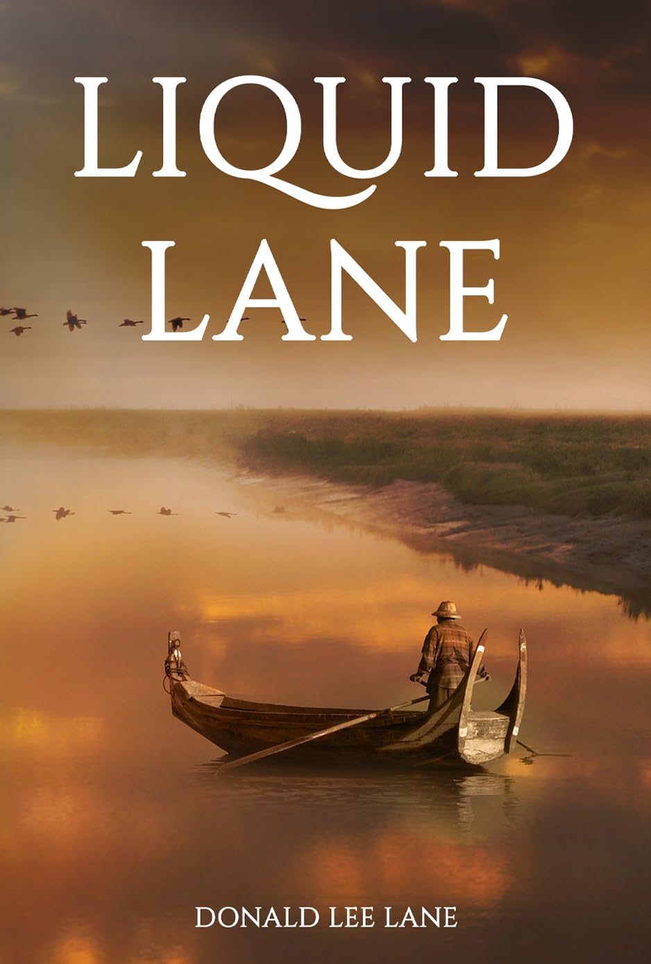 ler totalmente Liquid Lane (English Edition)