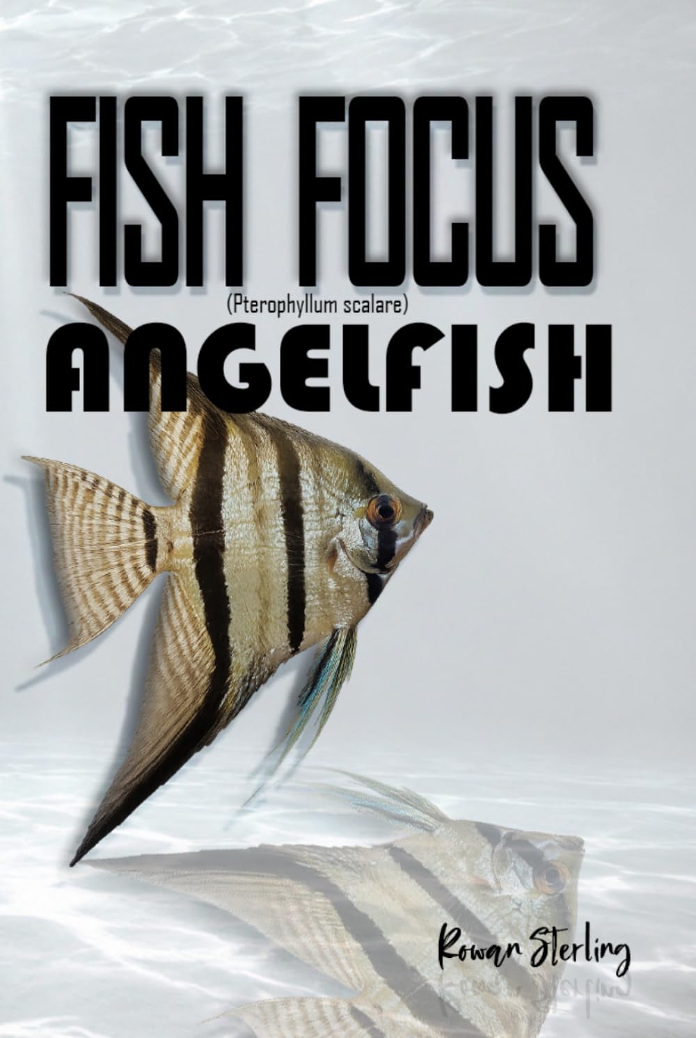 ler totalmente Fish Focus: Angelfish (Pterophyllum scalare): Behaviour, Care, and Natural Habitat Guide