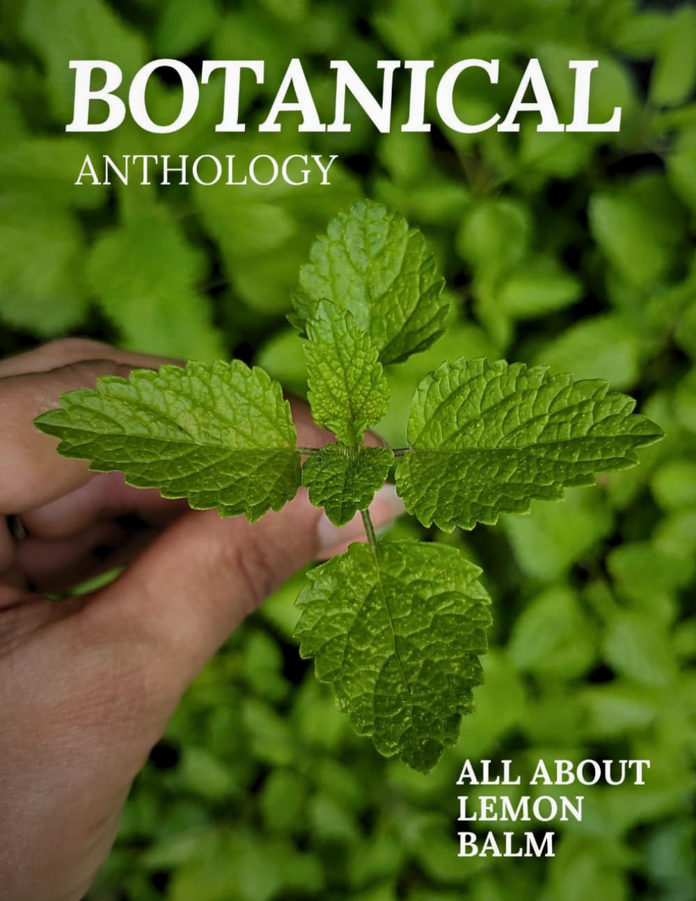 capítulo por capítulo baixar All About Lemon Balm