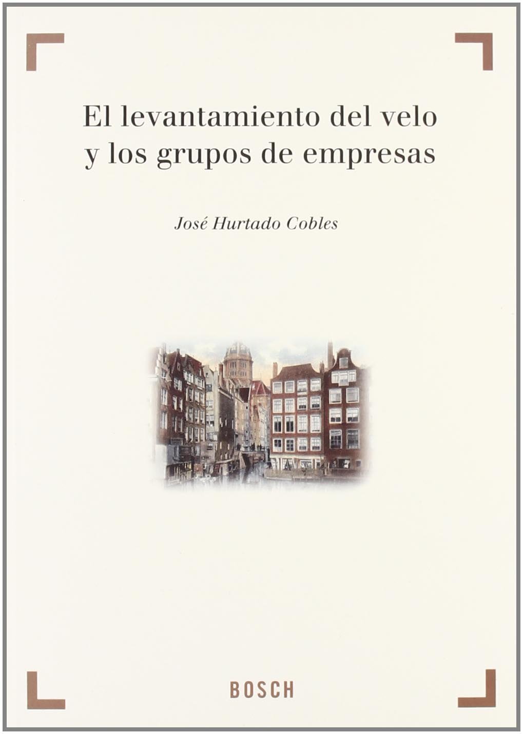Levantamiento del velo y los grupos de empresas baixar livro de graça