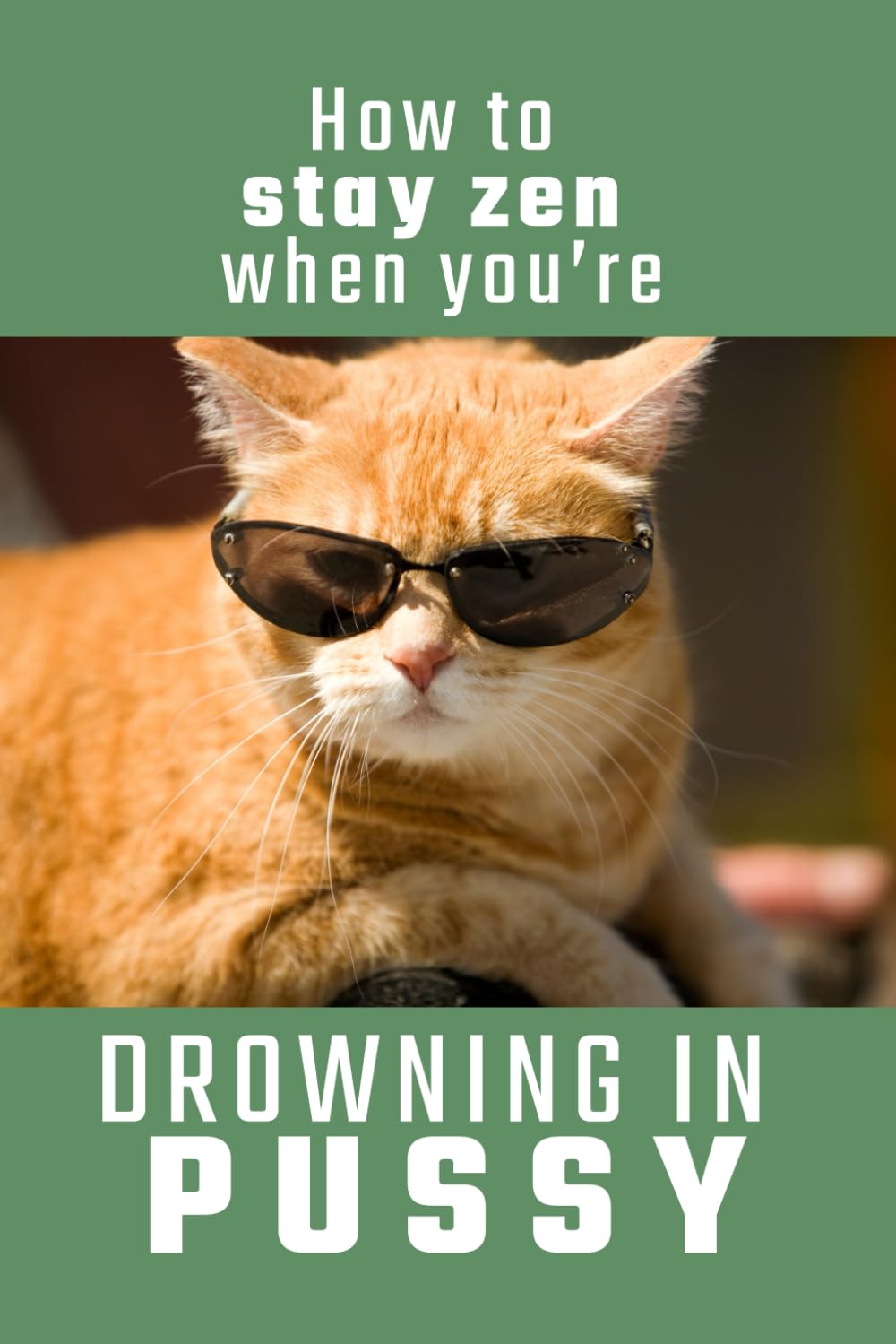 How to Stay Zen When You Are Drowing In Pussy: 100 page lined journal with a funny adult humour cover, satire gag gift, secret santa present, gift for men or cat lovers baixar livro de graça