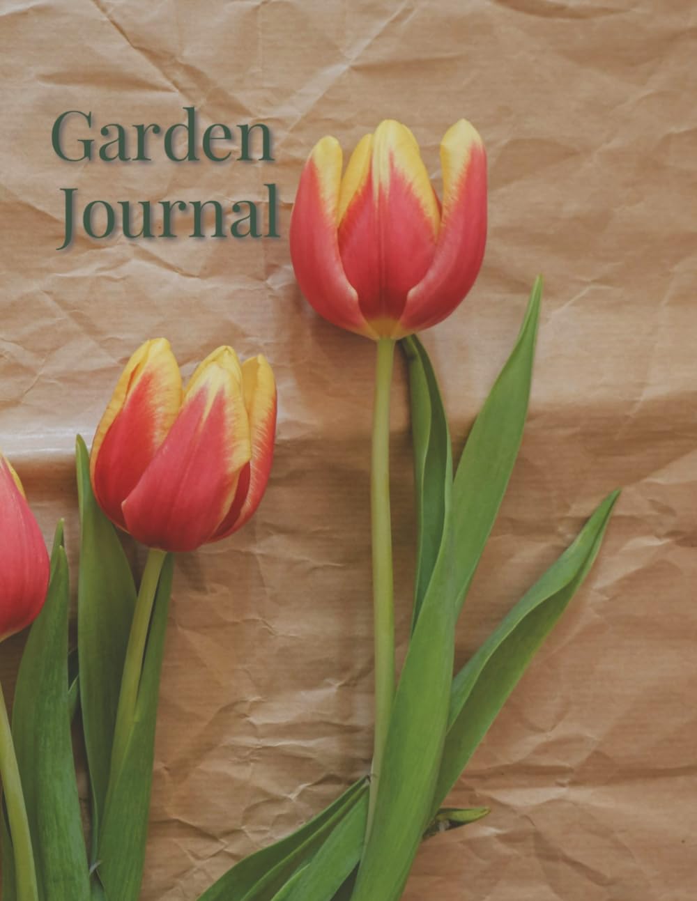 Garden Journal: A Simple Planner for Notes, Ideas and Garden Records baixar livro de graça