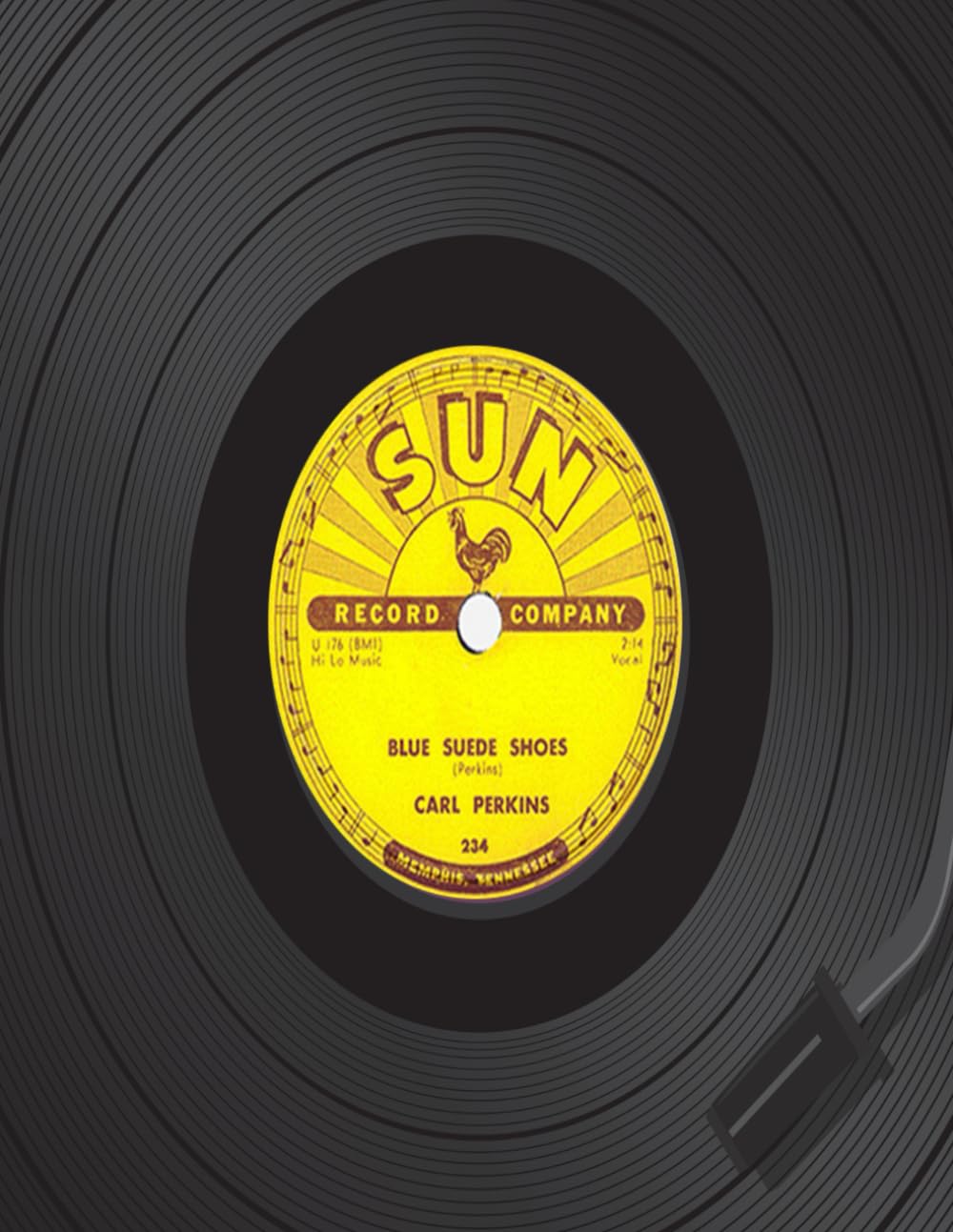 ler totalmente VINYL RECORD: Nostalgic Retro Notebook Journal Diary For Audio Purists
