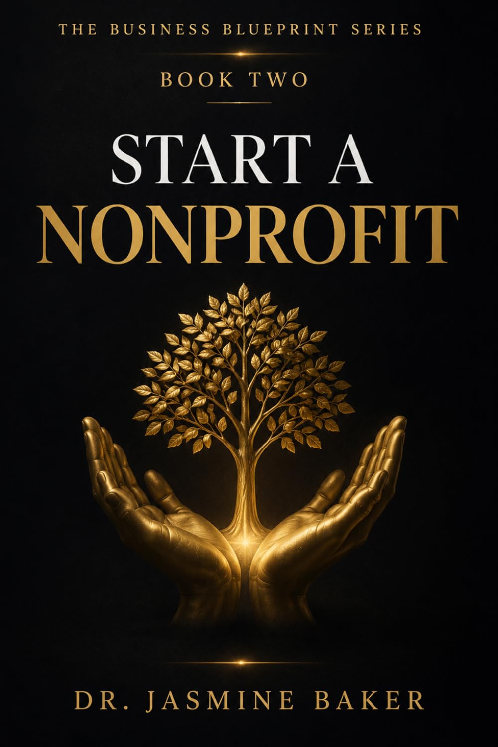 Start A Nonprofit (The Business Blueprint Series) baixar o livro de graça