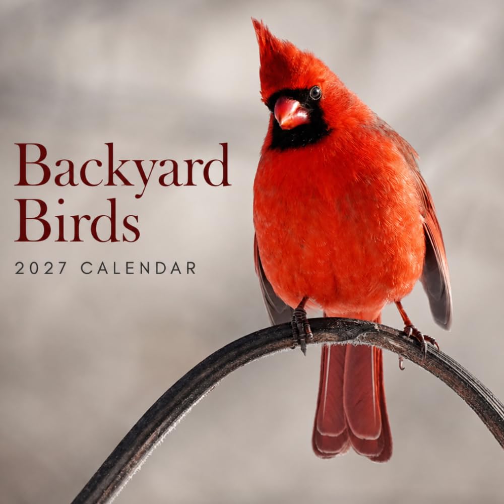 Backyard Birds Calendar 2027: Bird and Garden Photography