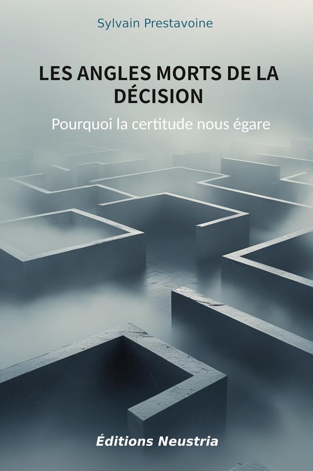 Les angles morts de la décision: Pourquoi la certitude nous égare (French Edition) baixar o livro de graça