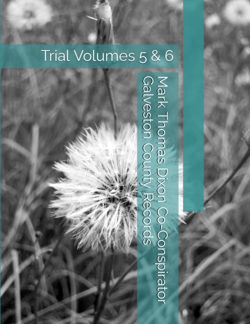 Mark Thomas Dixon Co-Conspirator Galveston County Records: Trial Volumes 5 & 6 (Barbara Holder Trial Records) baixar livro de graça
