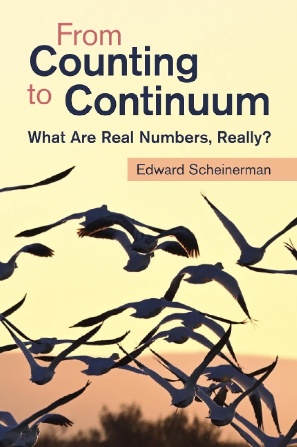ler totalmente From Counting to Continuum: What Are Real Numbers, Really?