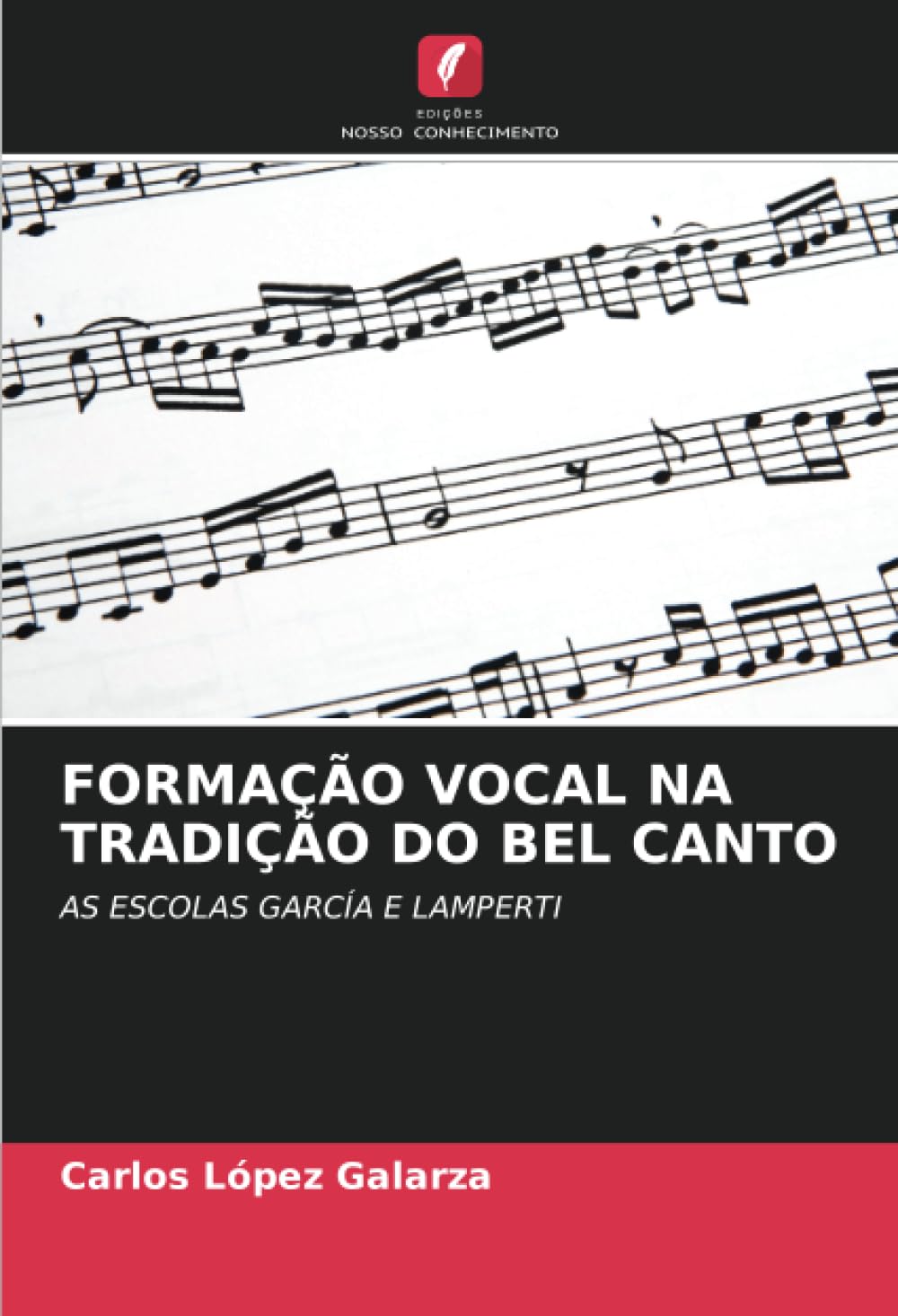FORMAÇÃO VOCAL NA TRADIÇÃO DO BEL CANTO: AS ESCOLAS GARCÍA E LAMPERTI baixar livro de graça