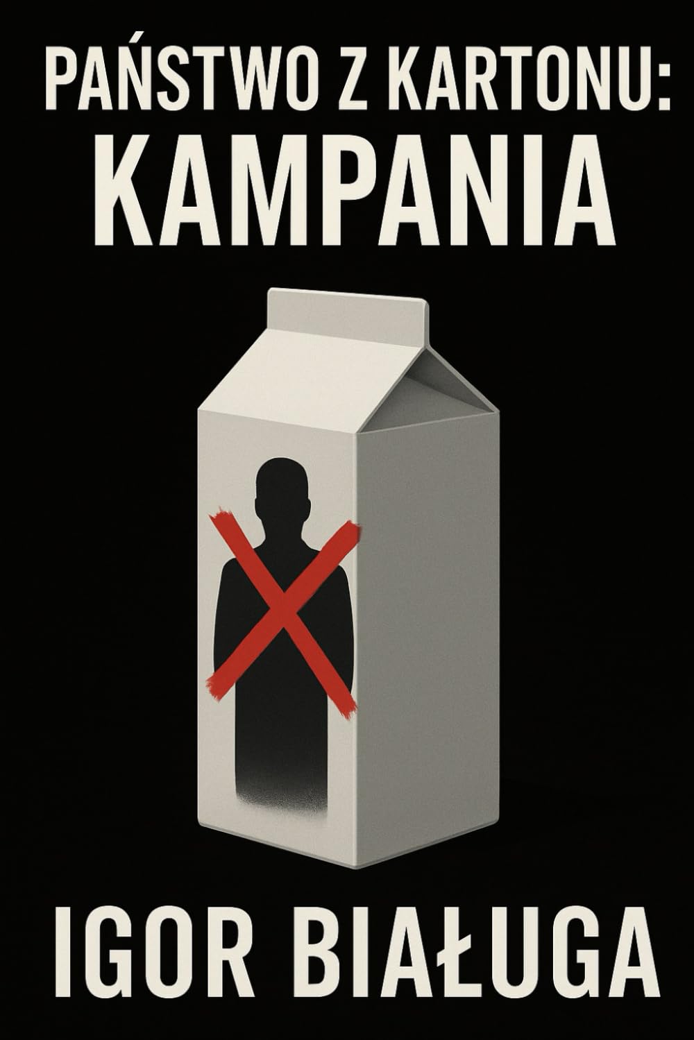 Państwo z kartonu: Kampania (Polish Edition) baixar o livro de graça