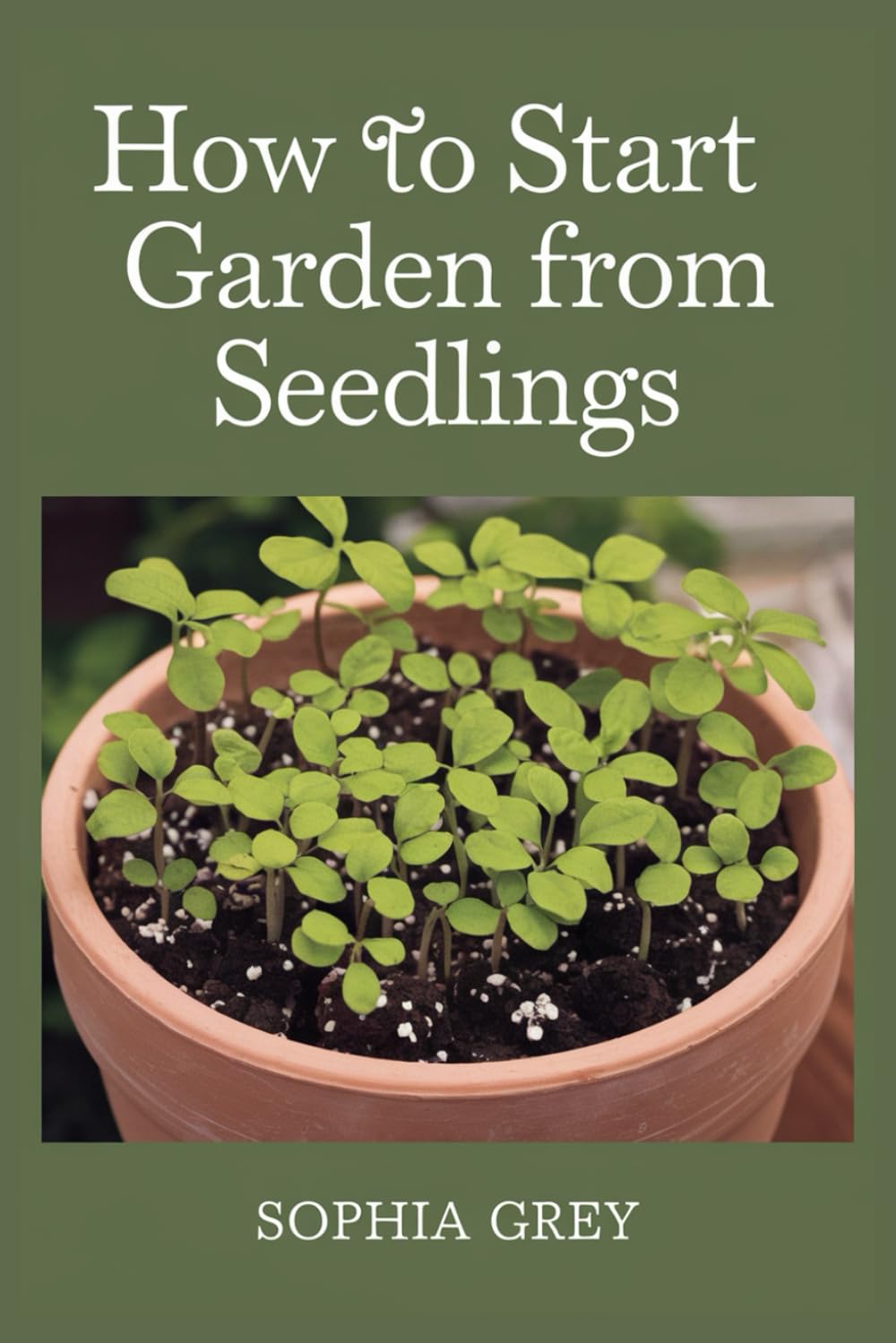 How To Start A Garden From Seedlings
