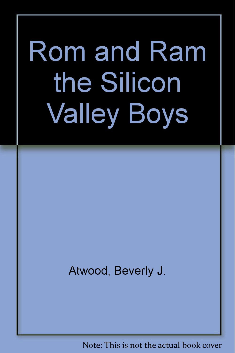 Rom and Ram the Silicon Valley Boys baixar livro de graça