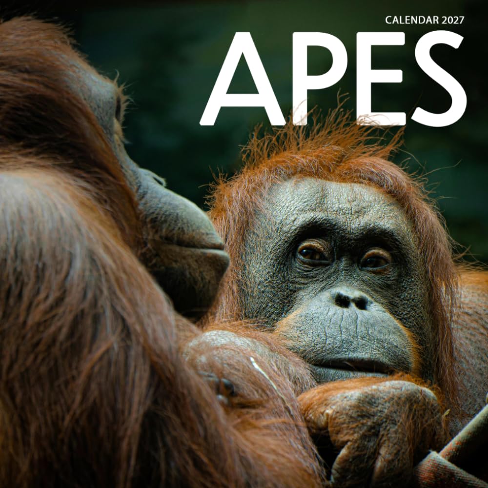 ler totalmente Apes Calendar 2027: Primate Wildlife and Jungle Scenes