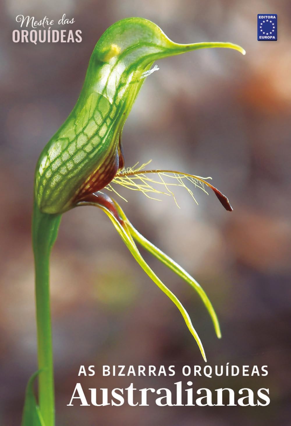 ler totalmente As Bizarras Orquídeas Australianas - Mestre das Orquídeas - Volume 21