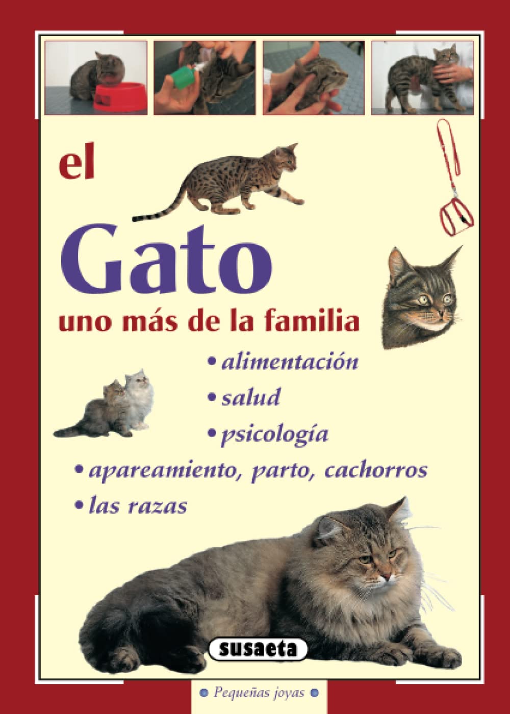 El gato