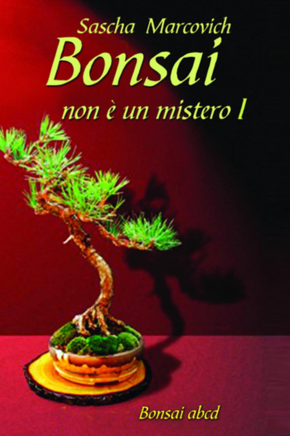 Bonsai non é un mistero I: Tecniche semplici e consigli pratici per creare e curare bonsai anche da zero (Italian Edition) baixar livro de graça
