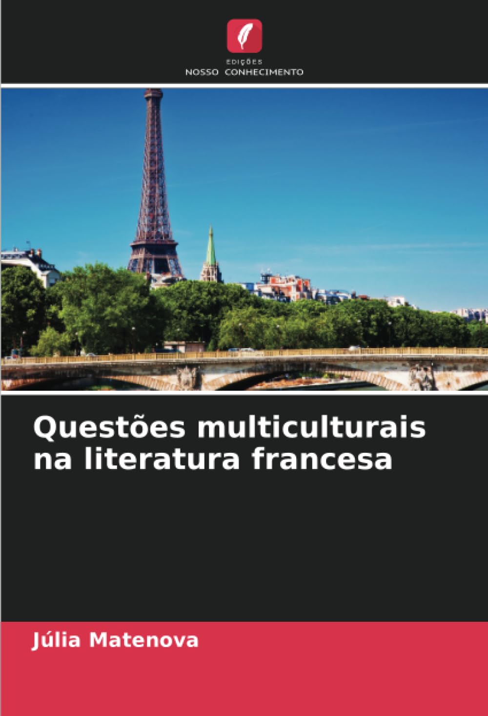 capítulo por capítulo baixar Questões multiculturais na literatura francesa (Portuguese Edition)