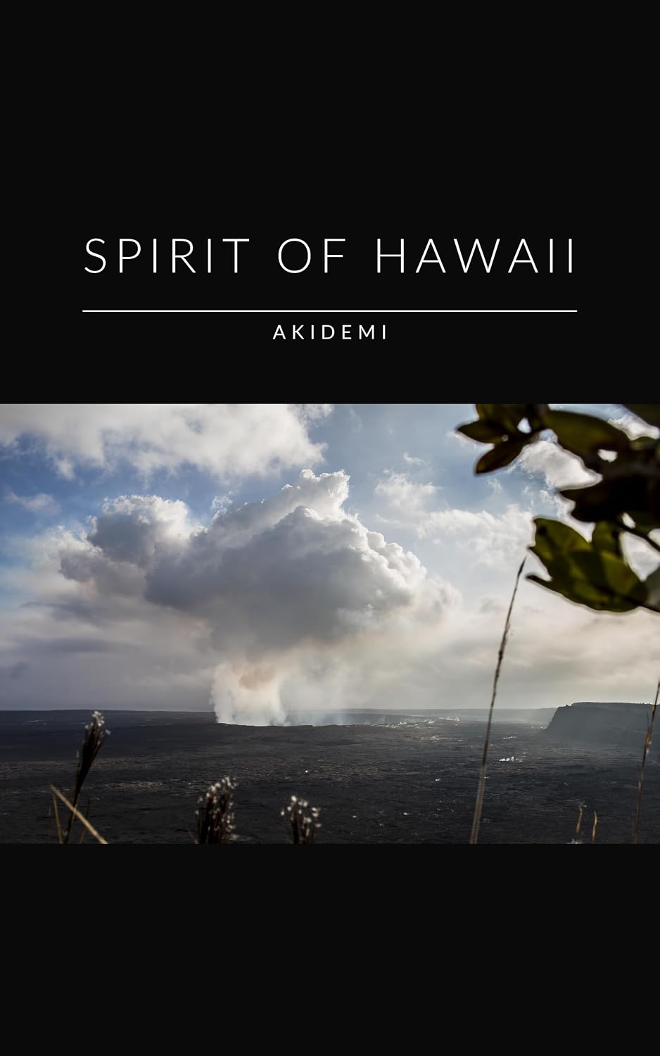 Spirit of Hawaii (AKIDEMI Photographs) (English Edition) baixar o livro de graça