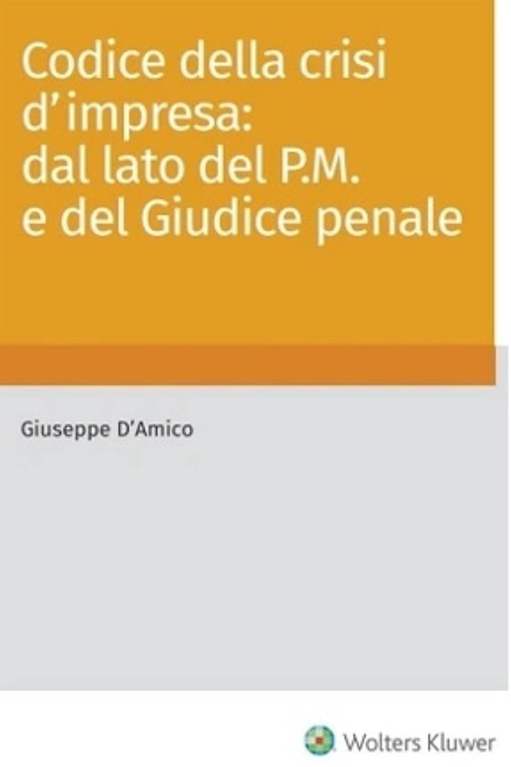 Codice della crisi d'impresa: dal lato del P.M. e del giudice penale (Italian Edition)