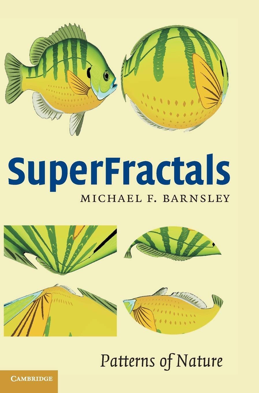 Superfractals baixar livro de graça