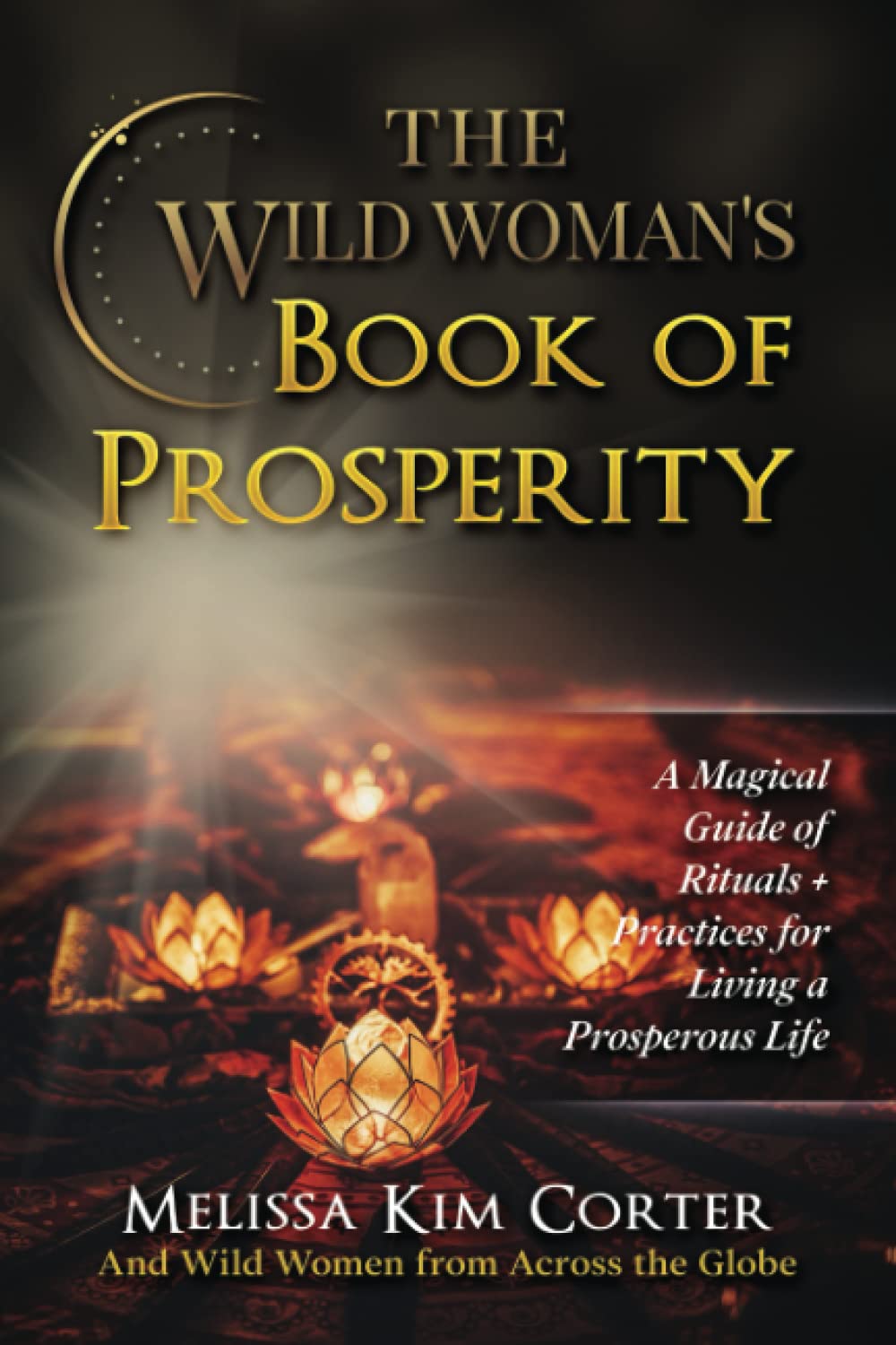 The Wild Woman's Book of Prosperity: A Magical Guide of Rituals + Practices for Living a Prosperous Life baixar o livro de graça