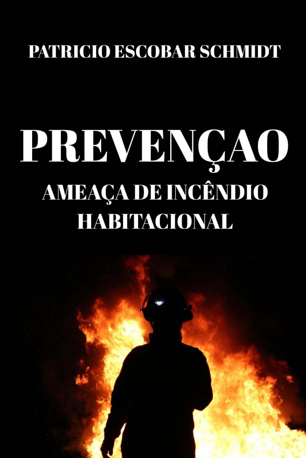 PREVENÇÃO: AMEAÇA DE INCÊNDIO HABITACIONAL (Portuguese Edition) baixar livro de graça