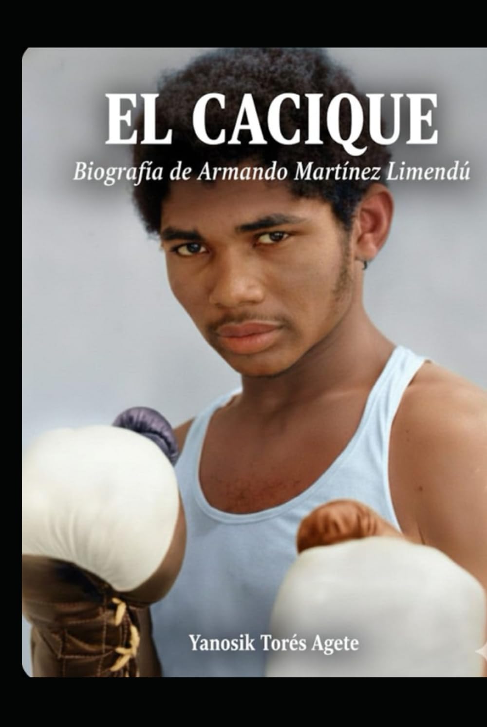 El Cacique: Biografía de Armando Martínez Limendú (Spanish Edition) baixar o livro de graça