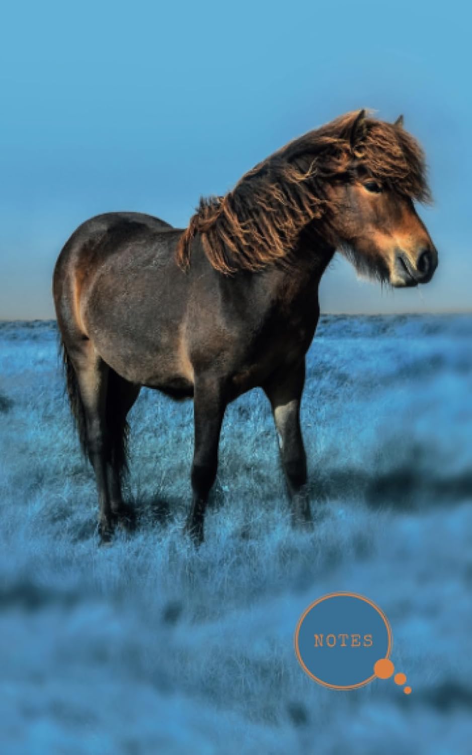 Exmoor Pony Notebook: Pony journal 5x8" lined - for planning, organising and noting baixar livro de graça