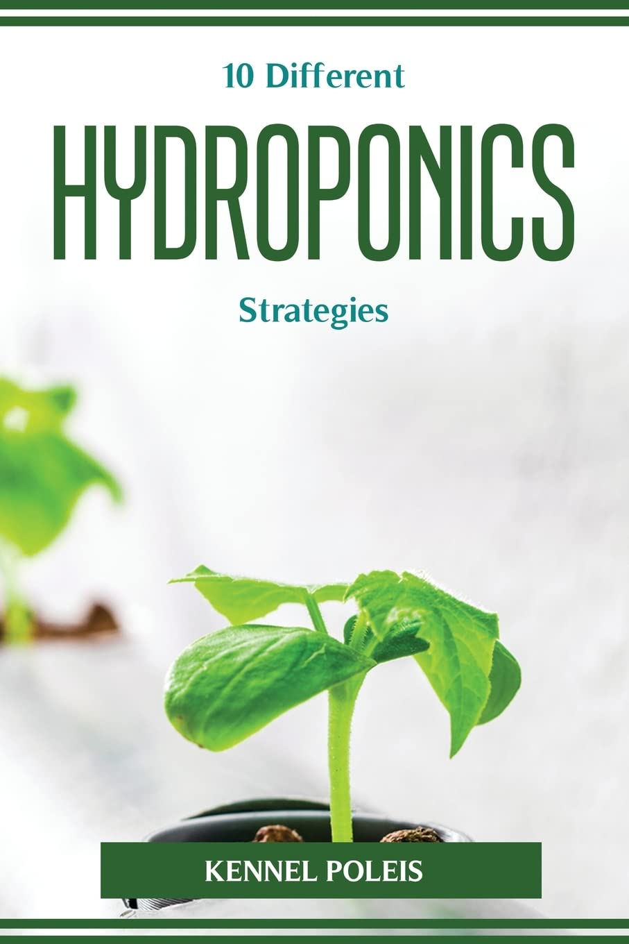 ler totalmente 10 Different HYDROPONICS Strategies