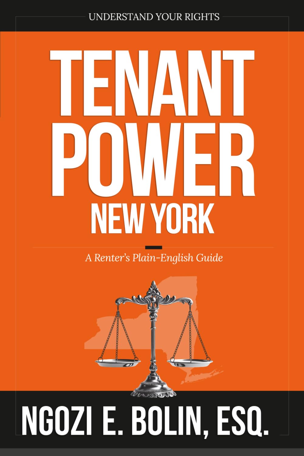 ler totalmente Tenant Power: New York - A Renter's Plain-English Guide