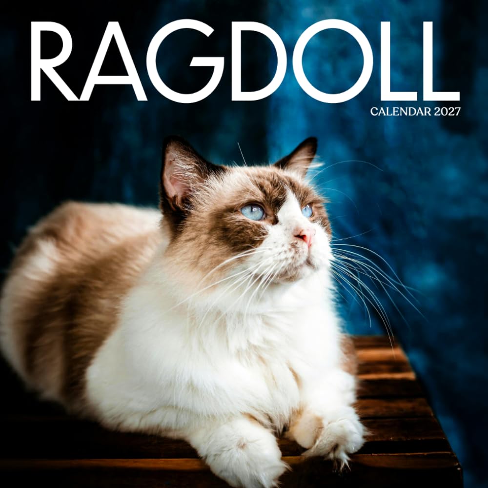 Ragdoll Cat Calendar 2027: Longhair Cats and Breed Portraits