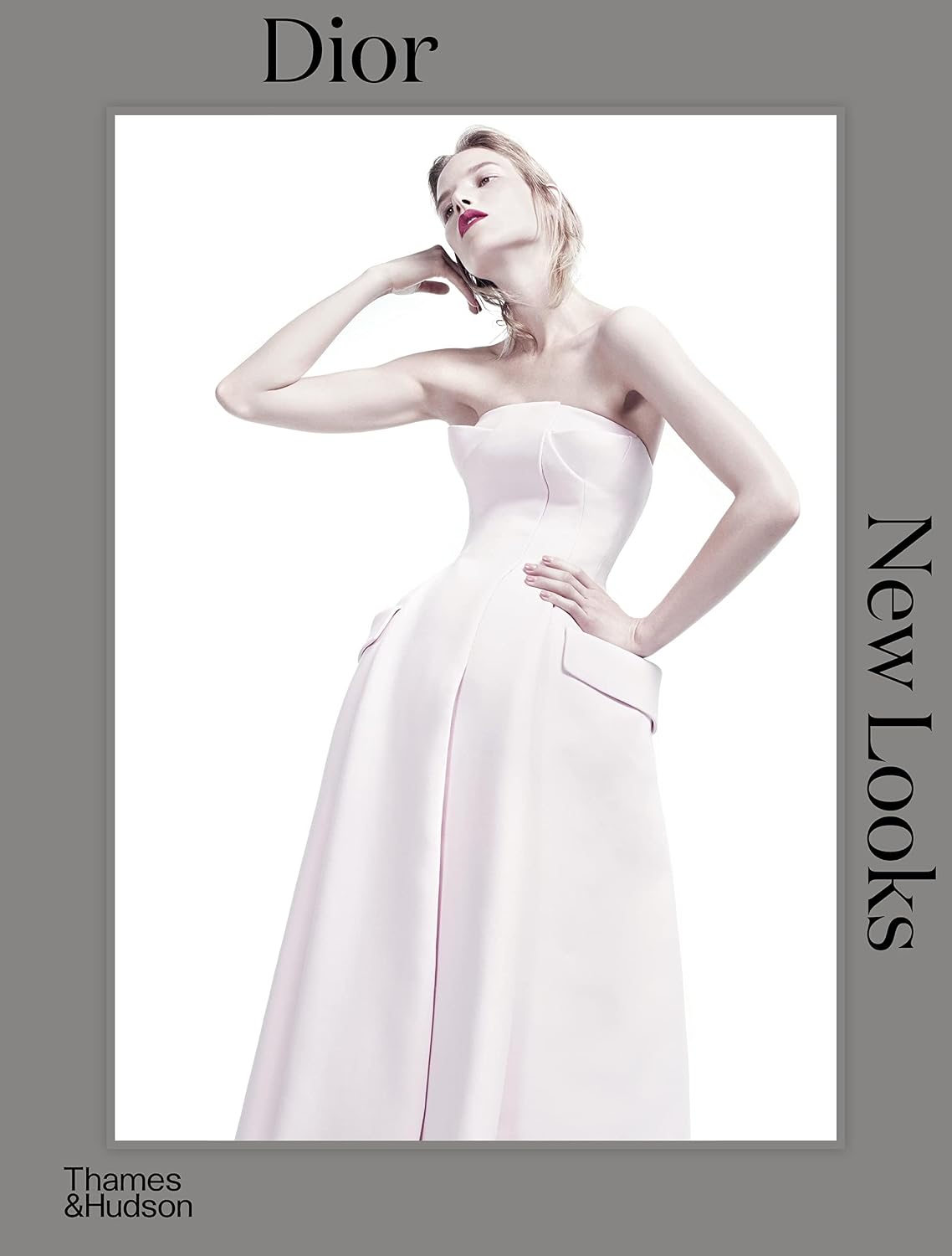 Dior: New Looks baixar o livro de graça