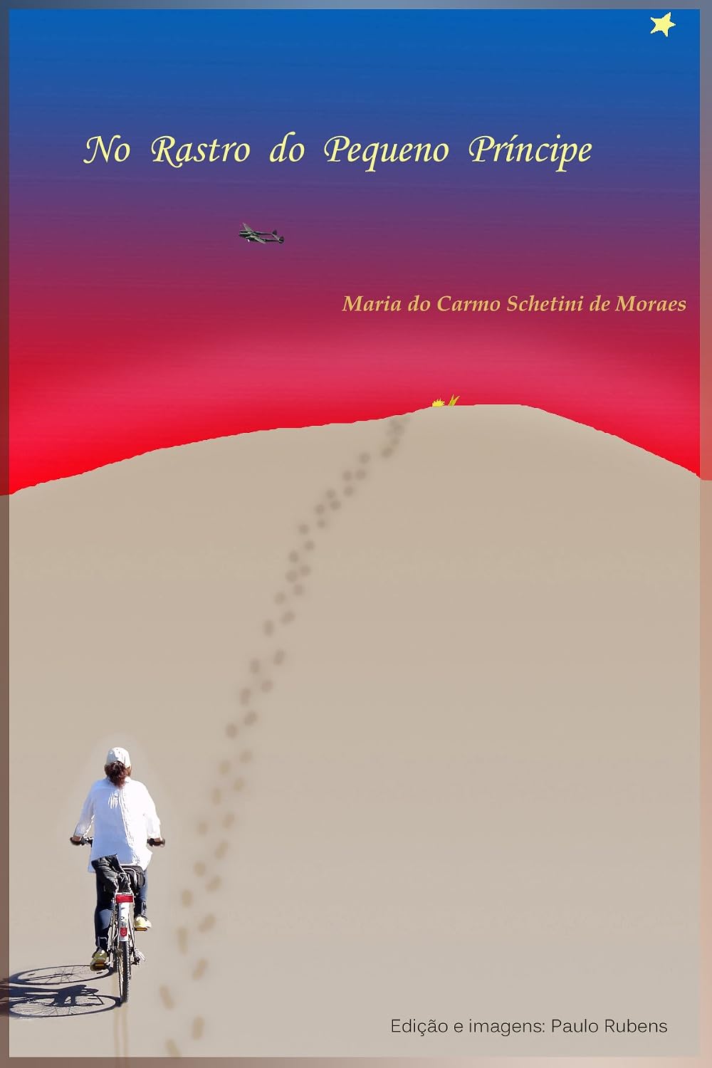 No Rastro do Pequeno Príncipe baixar livro de graça