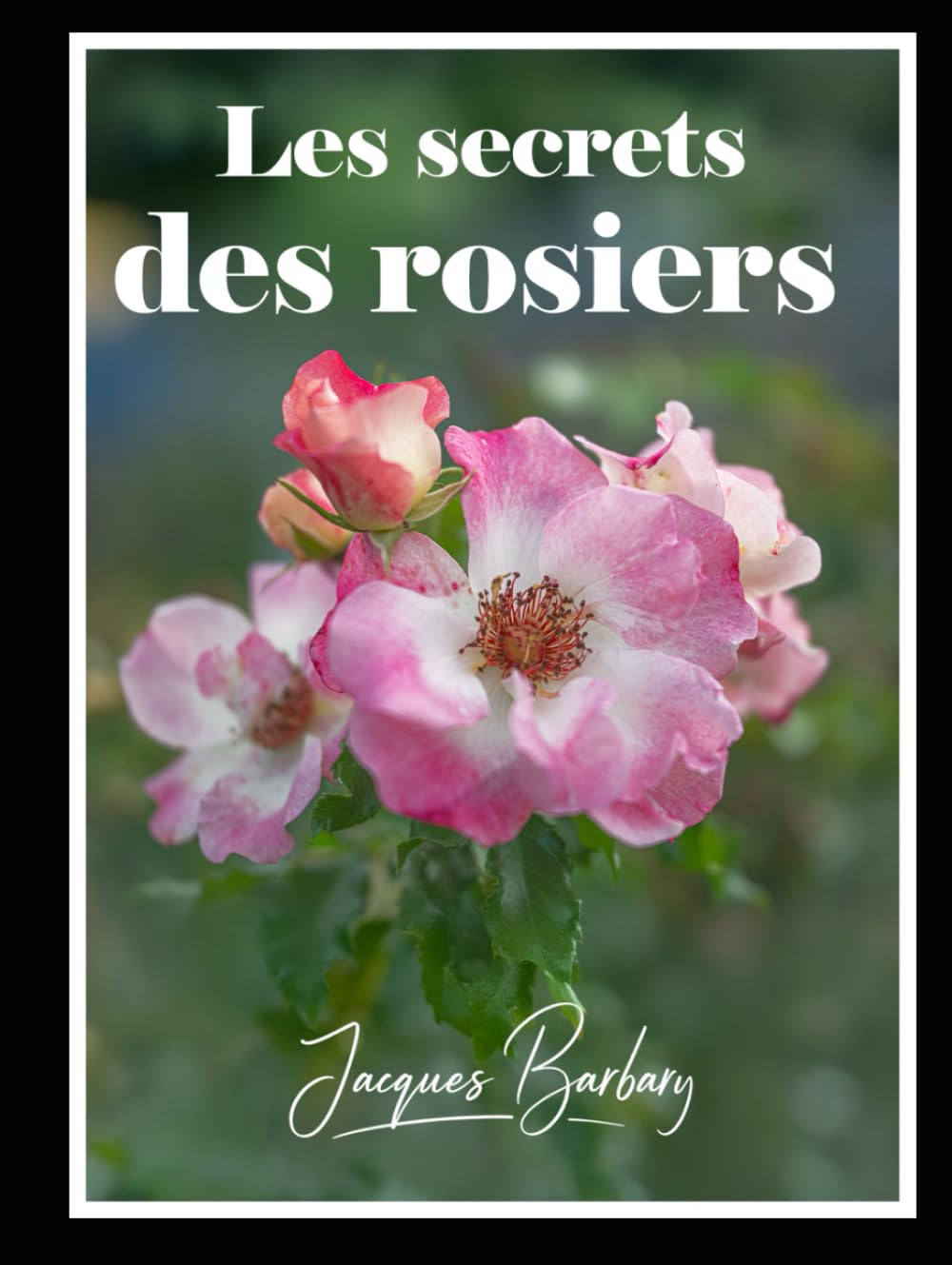 ler totalmente Les secrets des rosiers (French Edition)