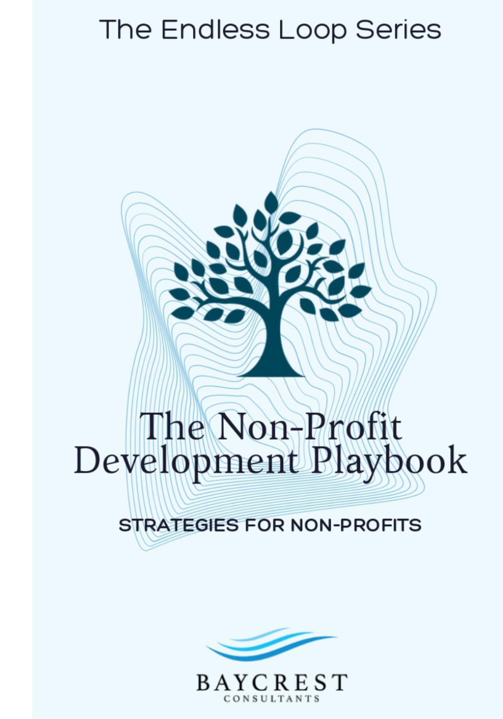 ler totalmente The Nonprofit Development Playbook: STRATEGIES FOR NON-PROFITS (The Endless Loop Series)