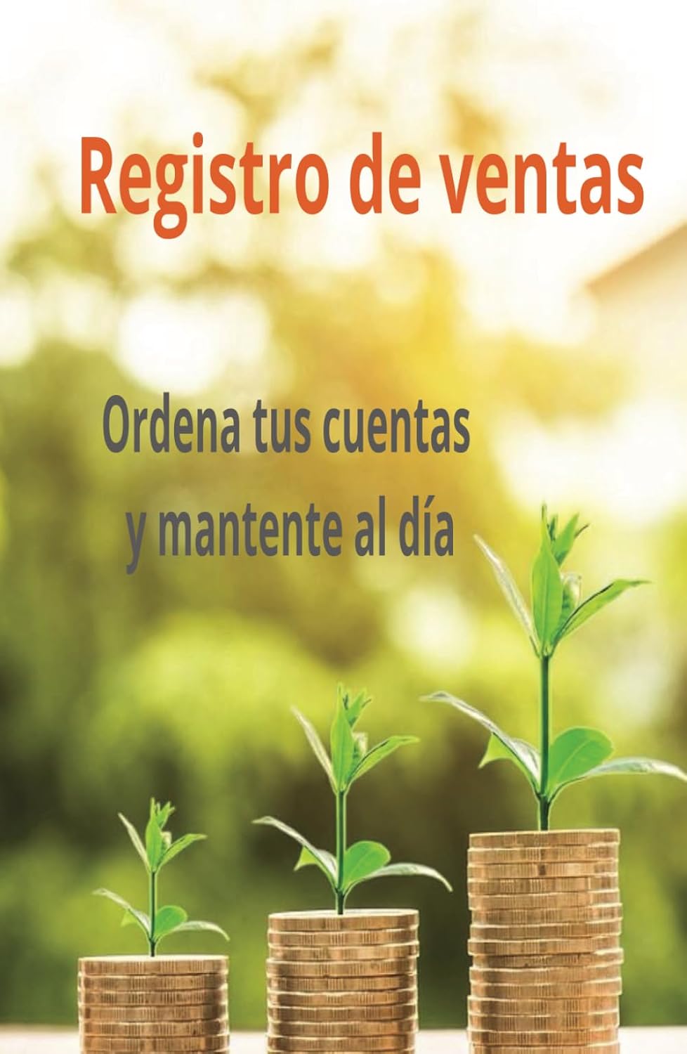 Registro de ventas ordena tus cuentas y mantente al día: La mejor manera de ordenar tus cuentas cada día (Spanish Edition) baixar livro de graça