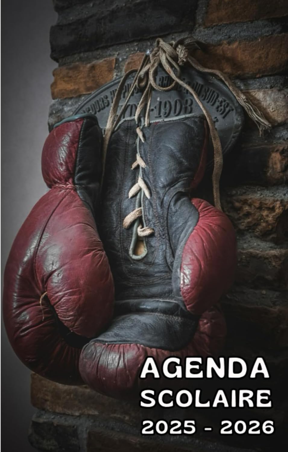 capítulo por capítulo baixar Agenda scolaire 2025 - 2026: cahier de texte et de devoirs pour étudiants, élèves de primaire, collège et lycée - Couverture gants de boxe (French Edition)