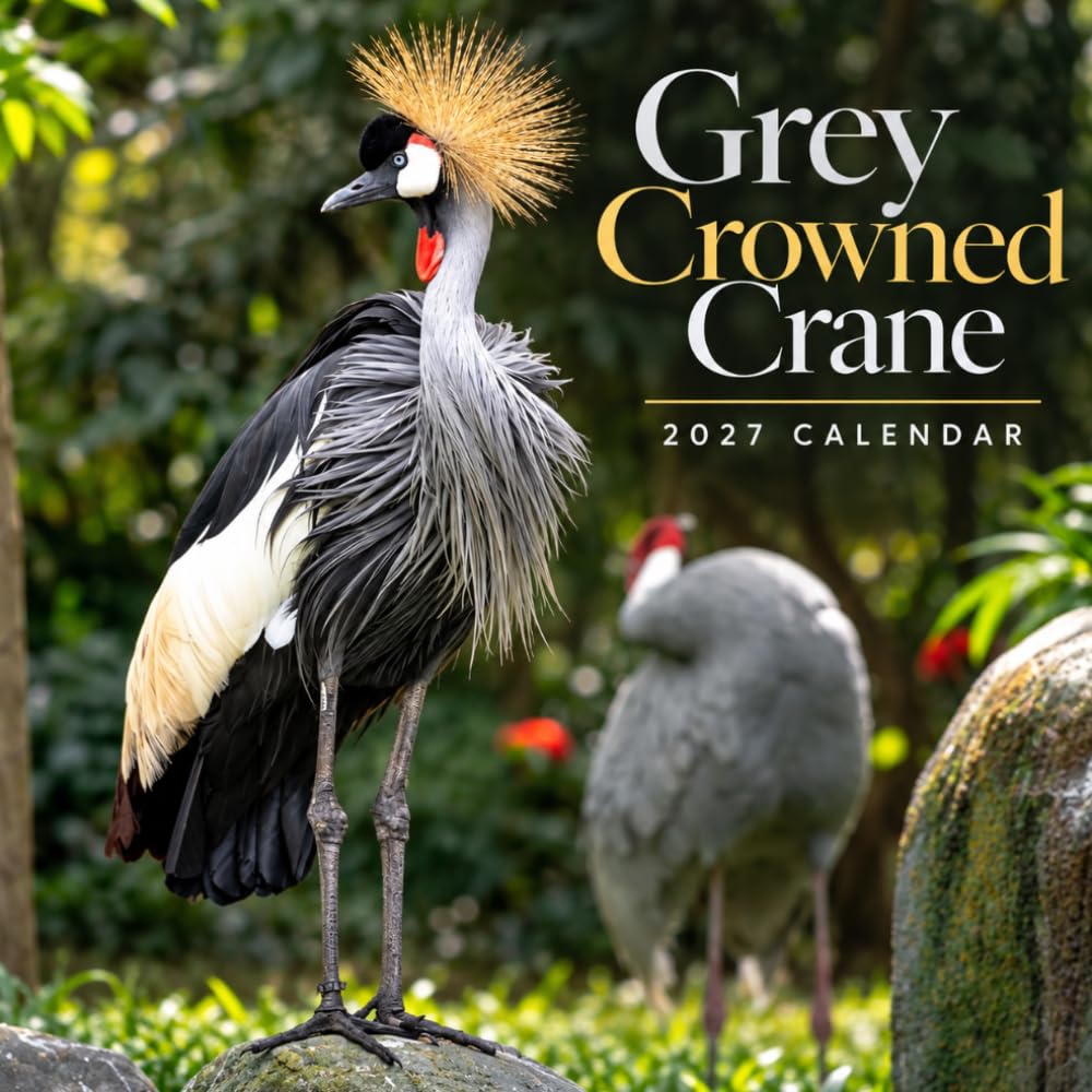 Grey Crowned Crane Calendar 2027