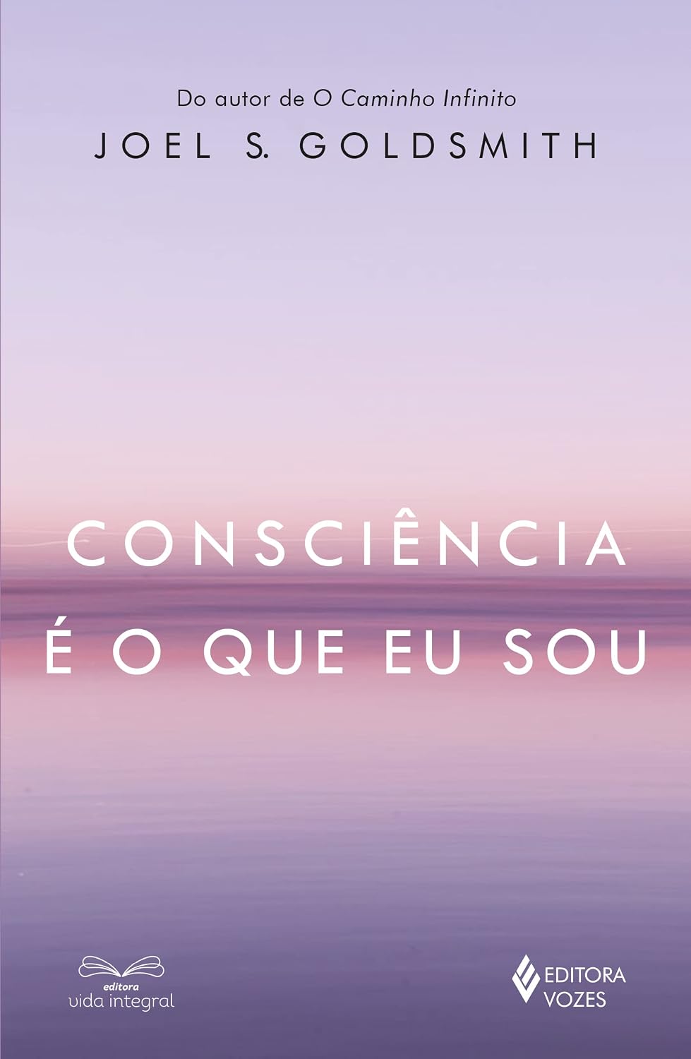 Consciência é o que eu sou baixar o livro de graça
