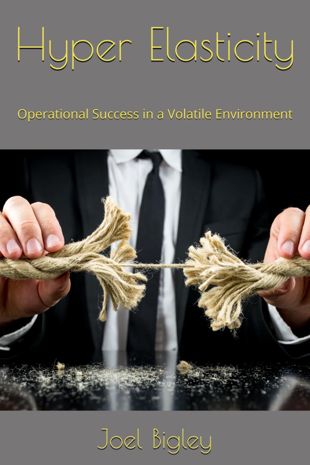 ler totalmente Hyper Elasticity: Operational Success in a Volatile Environment