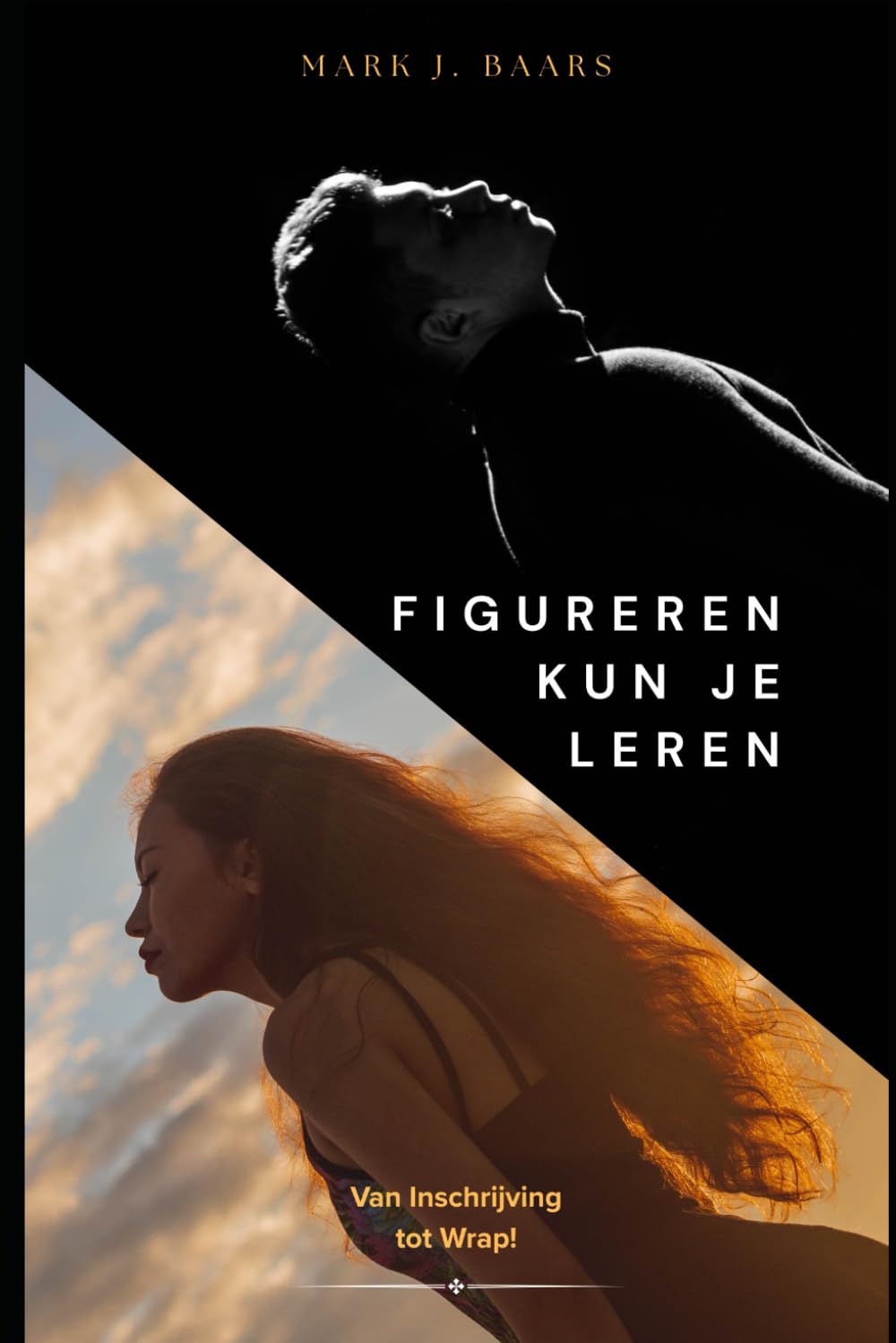 Figureren kun je Leren: Van inschrijving tot Wrap! baixar livro de graça